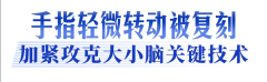 完整的人形机械人财产链正加快形