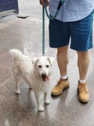 不只要通晓衡宇买卖、拆修设想等专